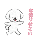 [お帰りなさい専用]ビションフリーゼ（個別スタンプ：10）