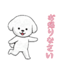 [お帰りなさい専用]ビションフリーゼ（個別スタンプ：11）