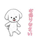 [お帰りなさい専用]ビションフリーゼ（個別スタンプ：12）