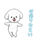 [お帰りなさい専用]ビションフリーゼ（個別スタンプ：14）