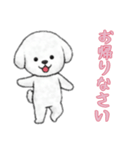 [お帰りなさい専用]ビションフリーゼ（個別スタンプ：15）