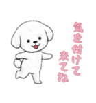[気を付けて来てね専用]ビションフリーゼ（個別スタンプ：2）