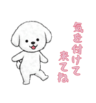 [気を付けて来てね専用]ビションフリーゼ（個別スタンプ：9）