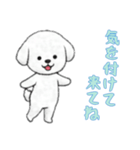 [気を付けて来てね専用]ビションフリーゼ（個別スタンプ：14）