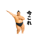 踊る！今これ力士（個別スタンプ：1）