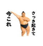 踊る！今これ力士（個別スタンプ：2）