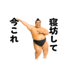踊る！今これ力士（個別スタンプ：3）
