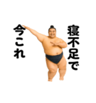 踊る！今これ力士（個別スタンプ：4）