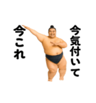 踊る！今これ力士（個別スタンプ：7）
