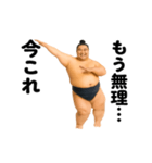 踊る！今これ力士（個別スタンプ：8）