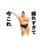 踊る！今これ力士（個別スタンプ：16）
