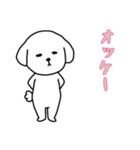 [オッケー専用]白い犬の男の子（個別スタンプ：3）