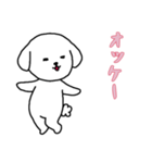[オッケー専用]白い犬の男の子（個別スタンプ：12）