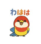 ハミングバード（個別スタンプ：12）