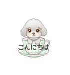 ティーカッププードル グレー（日常会話）（個別スタンプ：2）