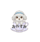 ティーカッププードル グレー（日常会話）（個別スタンプ：3）