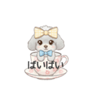 ティーカッププードル グレー（日常会話）（個別スタンプ：4）