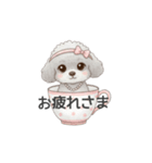 ティーカッププードル グレー（日常会話）（個別スタンプ：6）