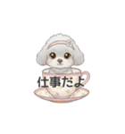 ティーカッププードル グレー（日常会話）（個別スタンプ：7）
