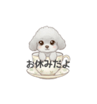 ティーカッププードル グレー（日常会話）（個別スタンプ：8）