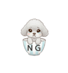 ティーカッププードル グレー（日常会話）（個別スタンプ：10）