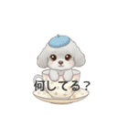 ティーカッププードル グレー（日常会話）（個別スタンプ：11）