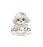 ティーカッププードル グレー（日常会話）（個別スタンプ：12）