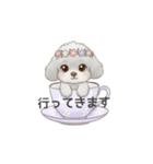 ティーカッププードル グレー（日常会話）（個別スタンプ：13）