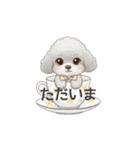 ティーカッププードル グレー（日常会話）（個別スタンプ：16）