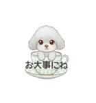 ティーカッププードル グレー（日常会話）（個別スタンプ：17）