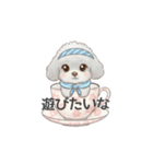 ティーカッププードル グレー（日常会話）（個別スタンプ：18）