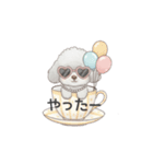ティーカッププードル グレー（日常会話）（個別スタンプ：21）