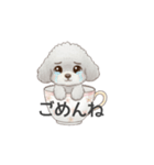 ティーカッププードル グレー（日常会話）（個別スタンプ：22）