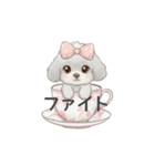 ティーカッププードル グレー（日常会話）（個別スタンプ：23）