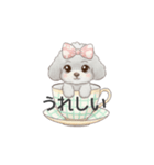ティーカッププードル グレー（日常会話）（個別スタンプ：24）