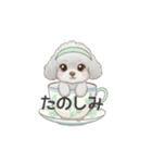 ティーカッププードル グレー（日常会話）（個別スタンプ：25）