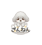 ティーカッププードル グレー（日常会話）（個別スタンプ：27）