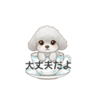 ティーカッププードル グレー（日常会話）（個別スタンプ：28）