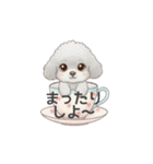 ティーカッププードル グレー（日常会話）（個別スタンプ：29）