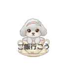 ティーカッププードル グレー（日常会話）（個別スタンプ：30）