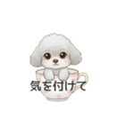 ティーカッププードル グレー（日常会話）（個別スタンプ：31）