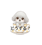 ティーカッププードル グレー（日常会話）（個別スタンプ：32）