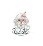 ティーカッププードル グレー（日常会話）（個別スタンプ：38）