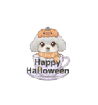 ティーカッププードル グレー（日常会話）（個別スタンプ：39）