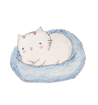 優しげなむーという名の猫（個別スタンプ：5）