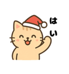 可愛いトラ猫のゆるかわクリスマススタンプ（個別スタンプ：17）