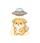 コミカル犬のギャグ暴走スタンプ劇場！（個別スタンプ：11）