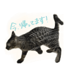 Cheeky Chibimaru 1st（個別スタンプ：8）