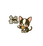 相棒ボストンテリアと毎日伝えよう！（個別スタンプ：14）