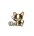 相棒ボストンテリアと毎日伝えよう！（個別スタンプ：16）